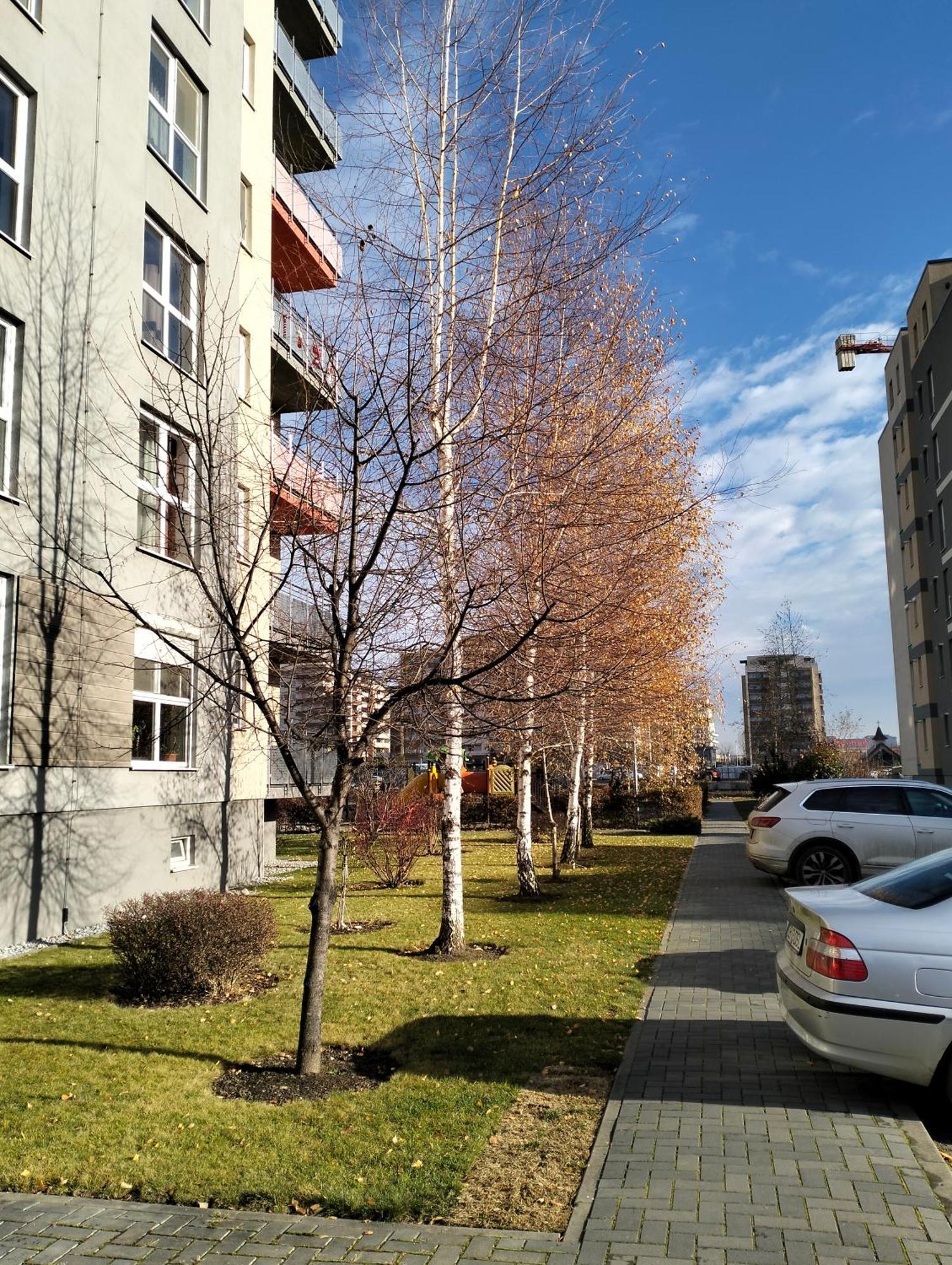 M&i Dream Apartment Brașov